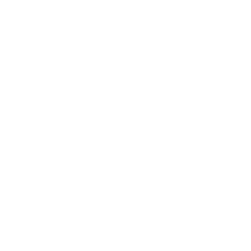 Play Station